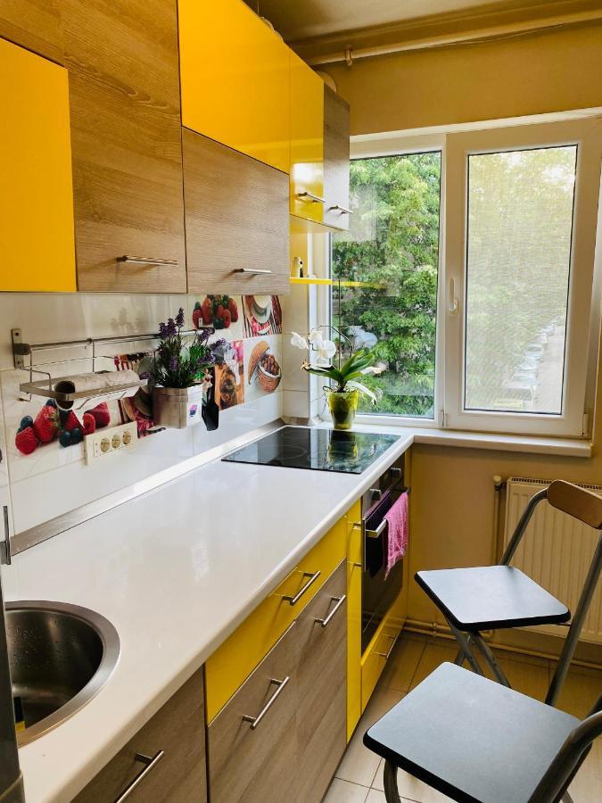 City Center Apartment 蒂米什瓦拉 外观 照片
