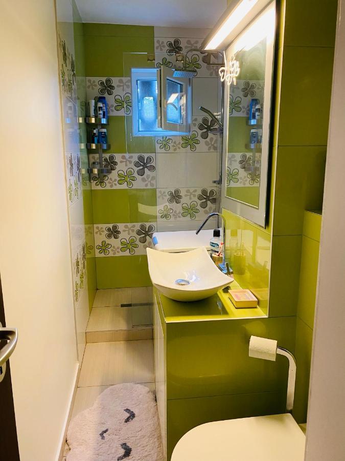 City Center Apartment 蒂米什瓦拉 外观 照片