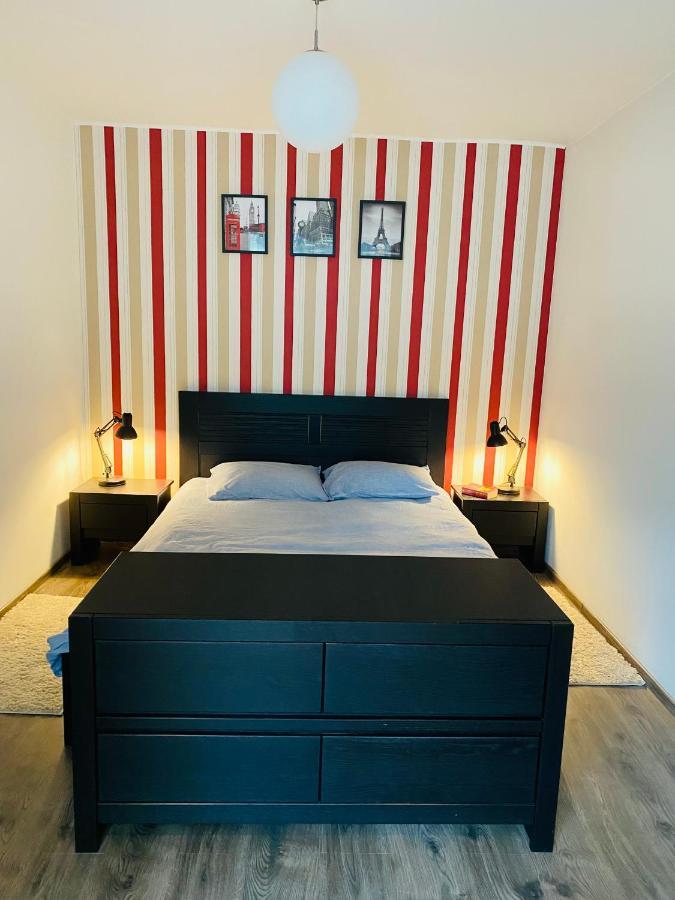City Center Apartment 蒂米什瓦拉 外观 照片