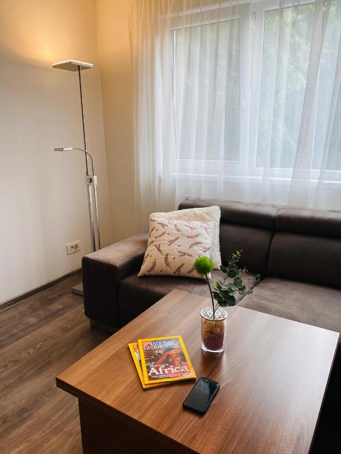 City Center Apartment 蒂米什瓦拉 外观 照片