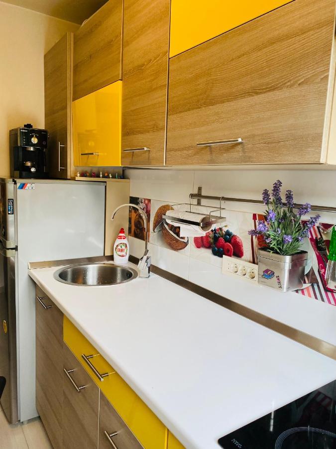 City Center Apartment 蒂米什瓦拉 外观 照片